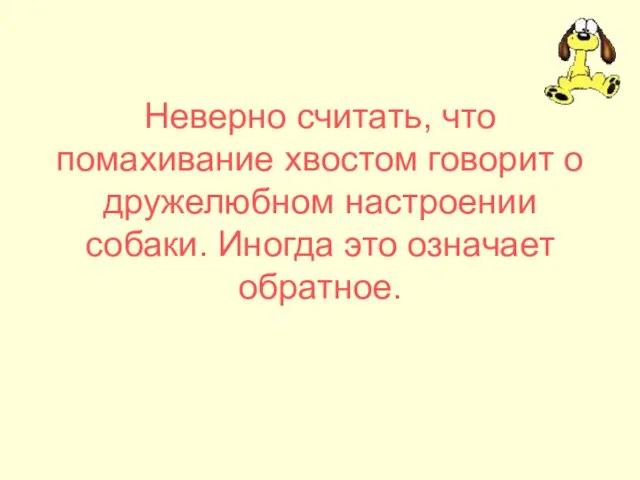 Неверно считать, что помахивание хвостом говорит о дружелюбном настроении собаки. Иногда это означает обратное.