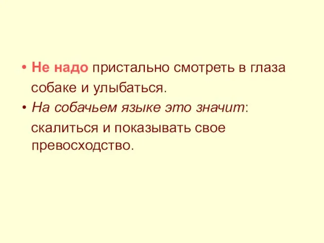 Не надо пристально смотреть в глаза собаке и улыбаться. На собачьем языке