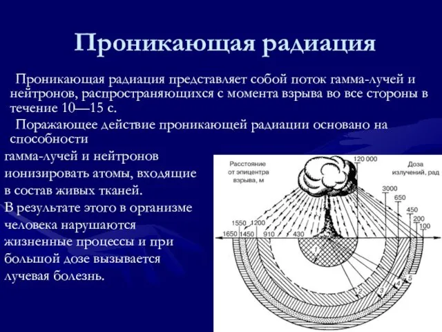 Проникающая радиация Проникающая радиация представляет собой поток гамма-лучей и нейтронов, распространяющихся с
