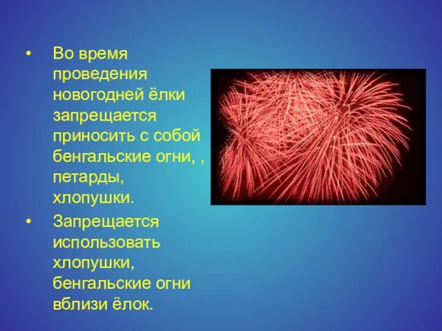 Во время проведения новогодней ёлки запрещается приносить с собой бенгальские огни, ,