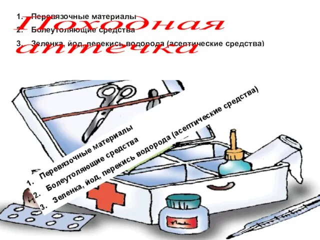 Перевязочные материалы Болеутоляющие средства Зеленка, йод, перекись водорода (асептические средства) Походная аптечка