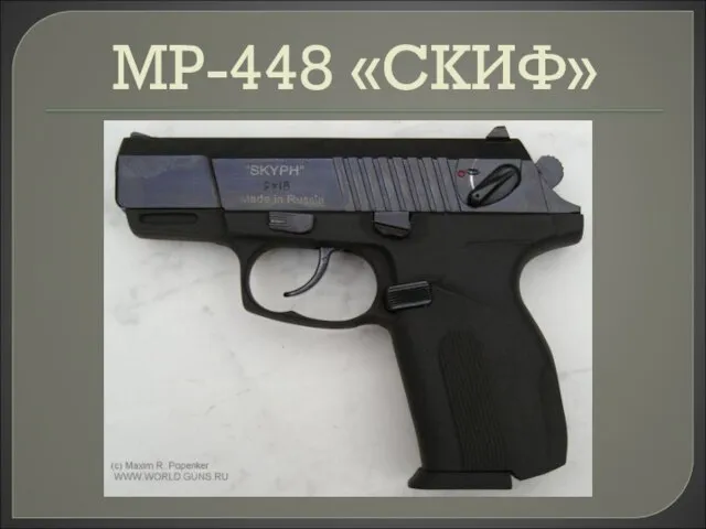 МР-448 «СКИФ»