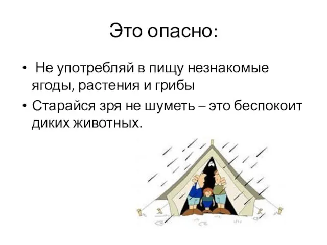 Это опасно: Не употребляй в пищу незнакомые ягоды, растения и грибы Старайся