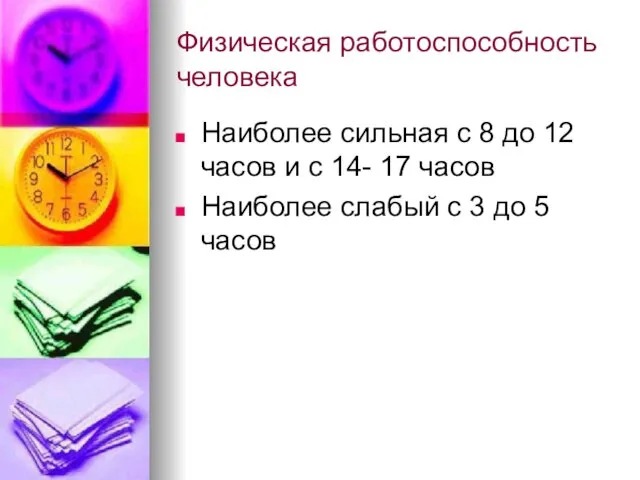 Физическая работоспособность человека Наиболее сильная с 8 до 12 часов и с