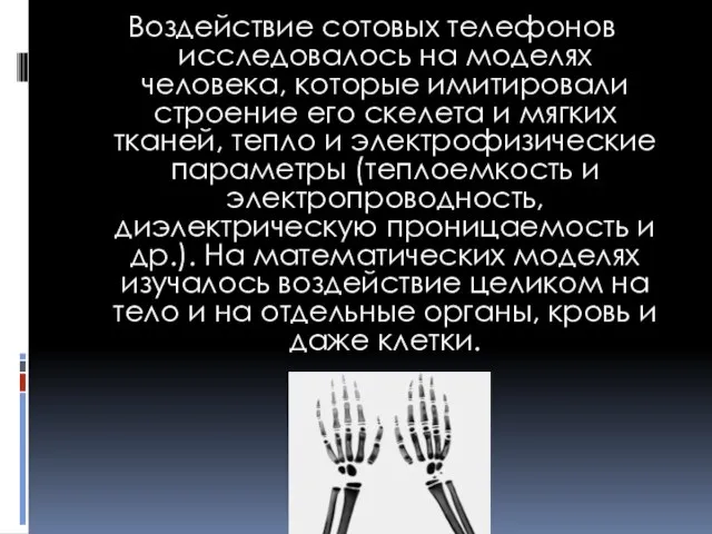 Воздействие сотовых телефонов исследовалось на моделях человека, которые имитировали строение его скелета