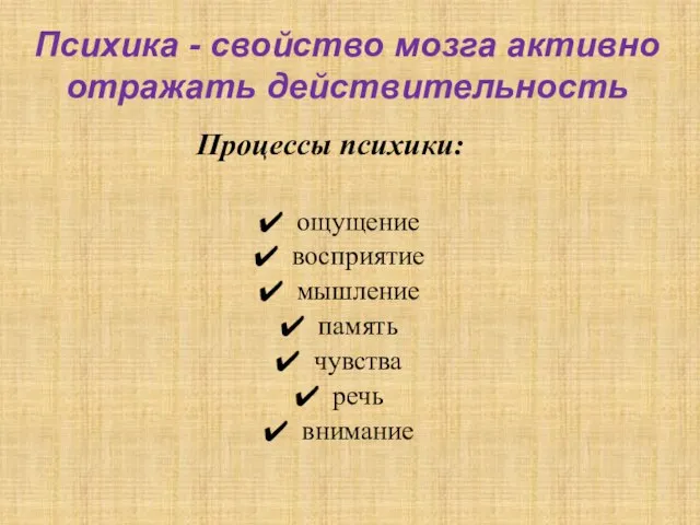 Психика - свойство мозга активно отражать действительность Процессы психики: ощущение восприятие мышление память чувства речь внимание