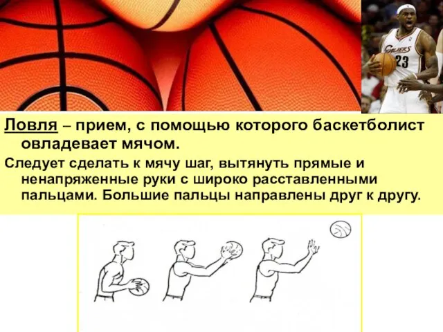 Ловля – прием, с помощью которого баскетболист овладевает мячом. Следует сделать к