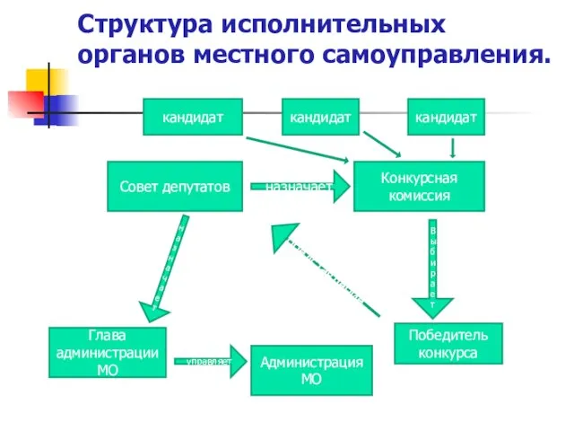 Структура исполнительных органов местного самоуправления. Совет депутатов назначает Конкурсная комиссия кандидат кандидат