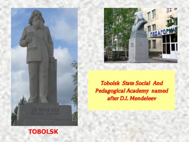 TOBOLSK Tobolsk State Social And Pedagogical Academy named after D.I. Mendeleev