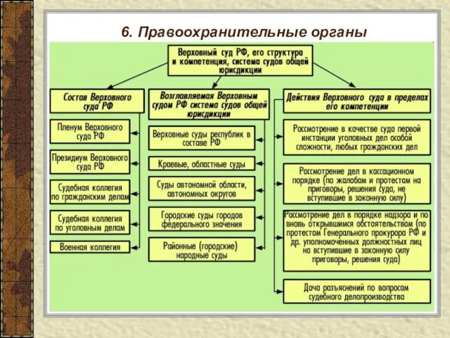 6. Правоохранительные органы