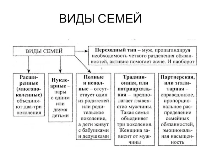 ВИДЫ СЕМЕЙ