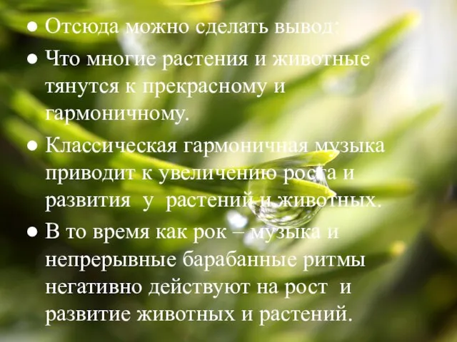 Отсюда можно сделать вывод: Что многие растения и животные тянутся к прекрасному