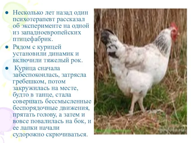 Несколько лет назад один психотерапевт рассказал об эксперименте на одной из западноевропейских