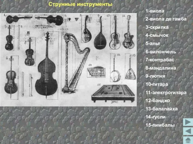 Струнные инструменты 1-виола 2-виола де гамба 3-скрипка 4-смычок 5-альт 6-вилончель 7-контрабас 8-мандалина