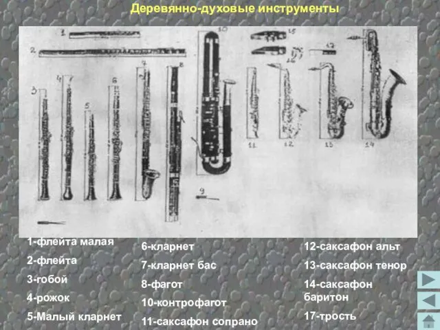 Деревянно-духовые инструменты 1-флейта малая 2-флейта 3-гобой 4-рожок 5-Малый кларнет 6-кларнет 7-кларнет бас