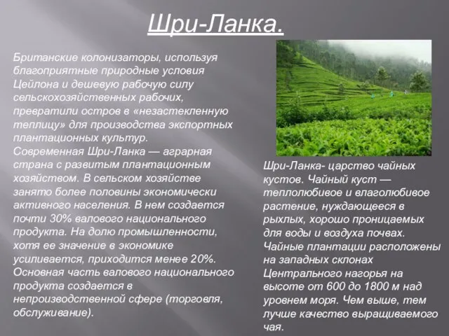 Шри-Ланка. Британские колонизаторы, используя благоприятные природные условия Цейлона и дешевую рабочую силу