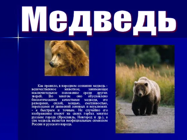 Медведь Как правило, в народном сознании медведь - величественное животное, занимающее исключительное