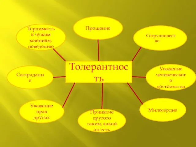 Сотрудничество Толерантность Прощение Терпимость к чужим мнениям, поведению Сострадание Уважение человеческого достоинства