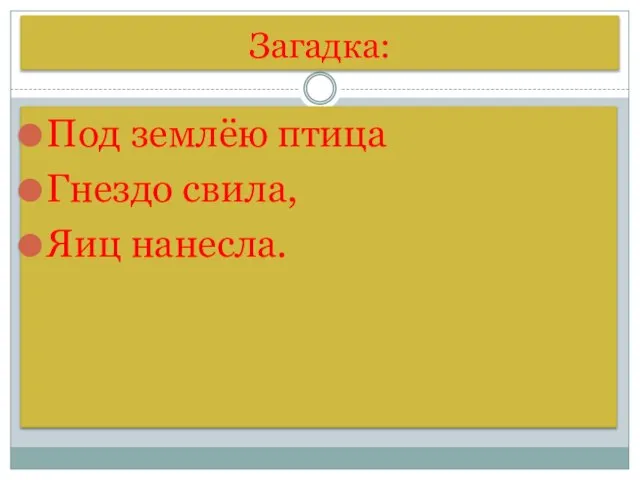 Загадка: Под землёю птица Гнездо свила, Яиц нанесла.