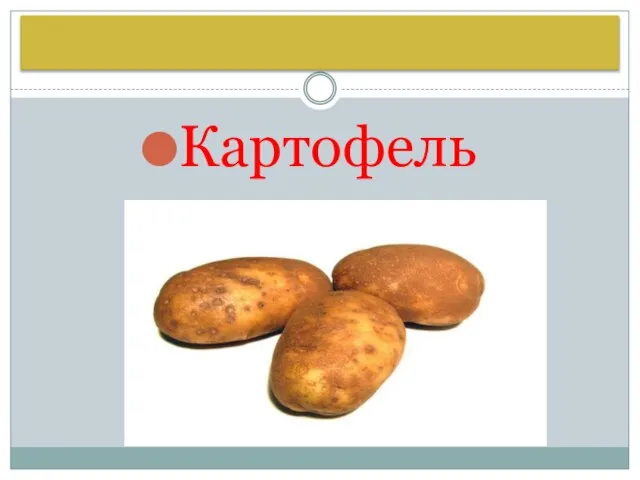 Картофель