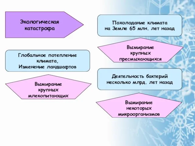 Экологическая катастрофа Похолодание климата на Земле 65 млн. лет назад Деятельность бактерий