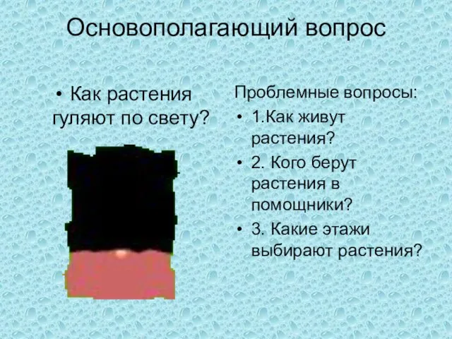 Основополагающий вопрос Как растения гуляют по свету? Проблемные вопросы: 1.Как живут растения?