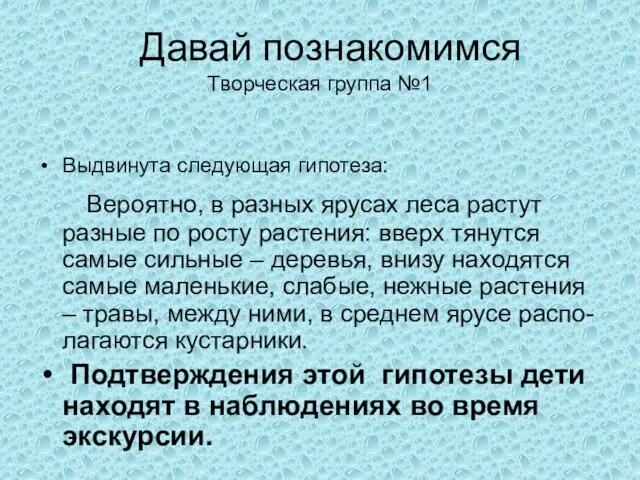 Давай познакомимся Творческая группа №1 Выдвинута следующая гипотеза: Вероятно, в разных ярусах