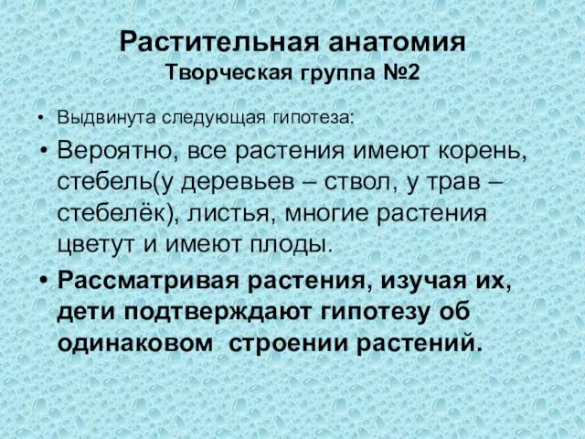 Растительная анатомия Творческая группа №2 Выдвинута следующая гипотеза: Вероятно, все растения имеют