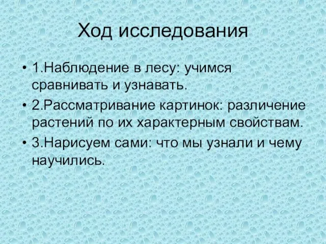 Ход исследования 1.Наблюдение в лесу: учимся сравнивать и узнавать. 2.Рассматривание картинок: различение