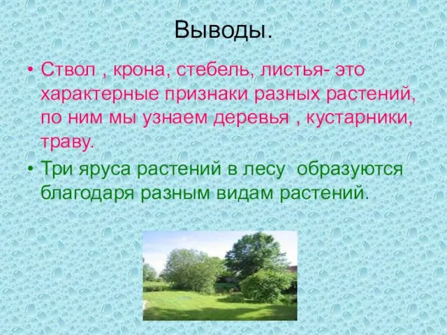 Выводы. Ствол , крона, стебель, листья- это характерные признаки разных растений, по