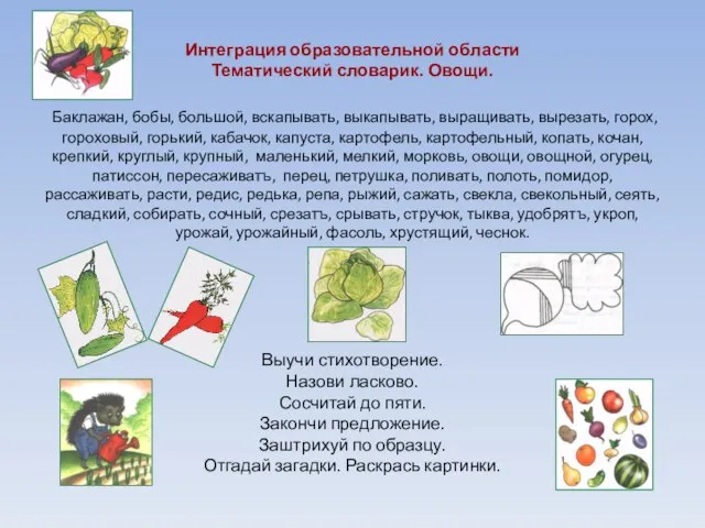 Интеграция образовательной области Тематический словарик. Овощи. Баклажан, бобы, большой, вскапывать, выкапывать, выращивать,