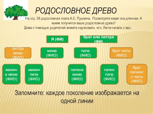 РОДОСЛОВНОЕ ДРЕВО На стр. 38 родословная поэта А.С. Пушкина. Посмотрите какая она