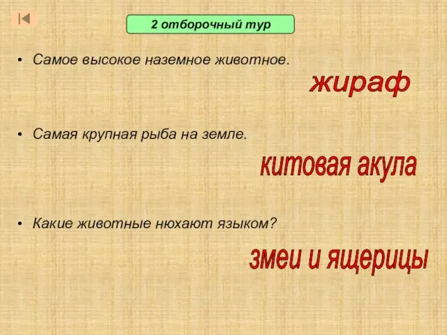 2 отборочный тур Самое высокое наземное животное. жираф Самая крупная рыба на