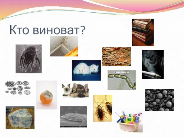 Кто виноват?