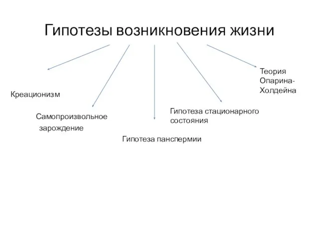 Гипотезы возникновения жизни Креационизм Самопроизвольное зарождение Гипотеза панспермии Теория Опарина-Холдейна Гипотеза стационарного состояния