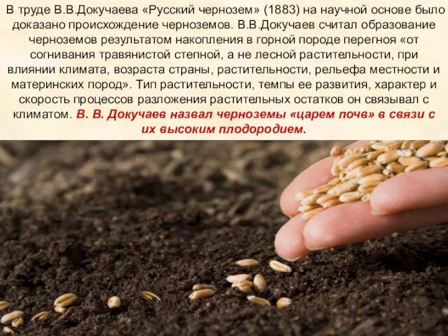 В труде В.В.Докучаева «Русский чернозем» (1883) на научной основе было доказано происхождение