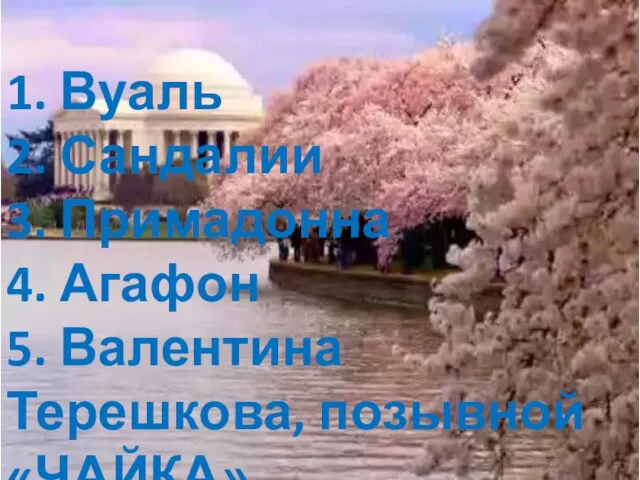 1. Вуаль 2. Сандалии 3. Примадонна 4. Агафон 5. Валентина Терешкова, позывной «ЧАЙКА»