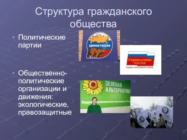 Структура гражданского общества Политические партии Общественно-политические организации и движения: экологические, правозащитные