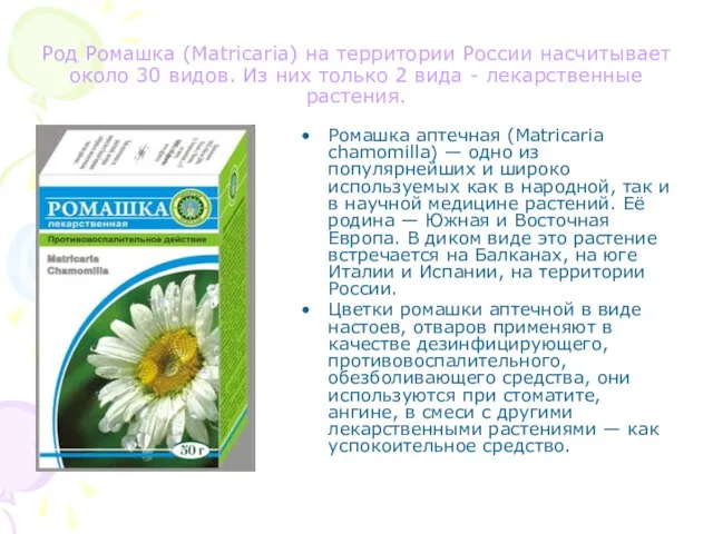 Род Ромашка (Matricaria) на территории России насчитывает около 30 видов. Из них