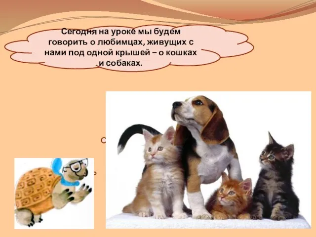 Сегодня на уроке мы будем говорить о любимцах, живущих с нами под