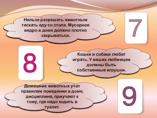 Нельзя разрешать животным таскать еду со стола. Мусорное ведро в доме должно