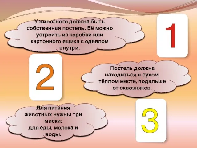 У животного должна быть собственная постель. Её можно устроить из коробки или