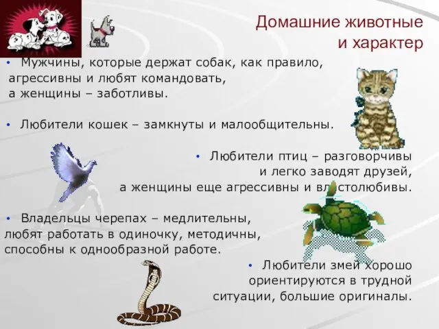 Домашние животные и характер Мужчины, которые держат собак, как правило, агрессивны и