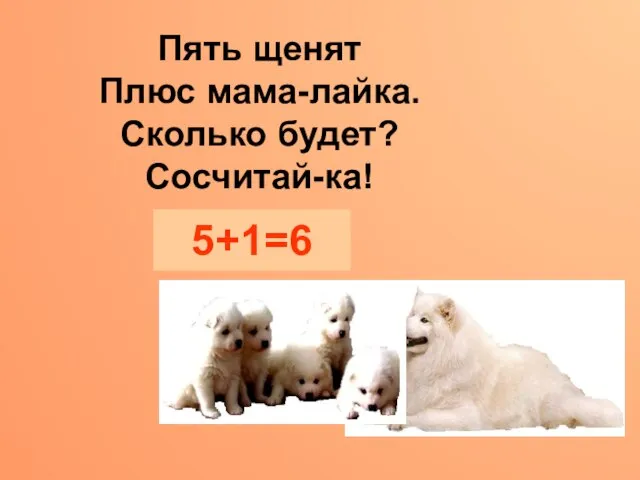 Пять щенят Плюс мама-лайка. Сколько будет? Сосчитай-ка! 5+1=6