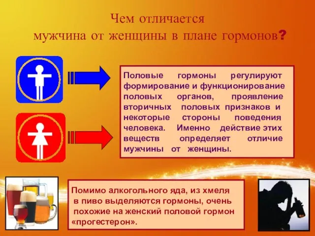 Чем отличается мужчина от женщины в плане гормонов? В крови содержится основной