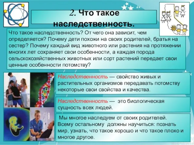 2. Что такое наследственность. Что такое наследственность? От чего она зависит, чем