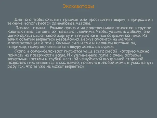 Экскаваторы Для того чтобы схватить предмет или просверлить дырку, в природе и