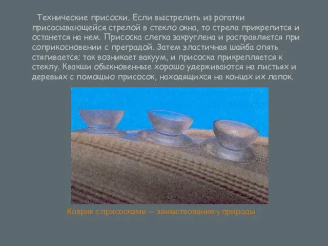 Коврик с присосками — заимствование у природы Технические присоски. Если выстрелить из