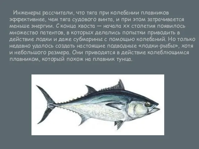 Инженеры рассчитали, что тяга при колебании плавников эффективнее, чем тяга судового винта,