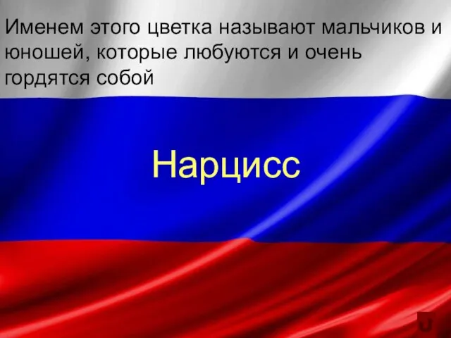 Именем этого цветка называют мальчиков и юношей, которые любуются и очень гордятся собой Нарцисс